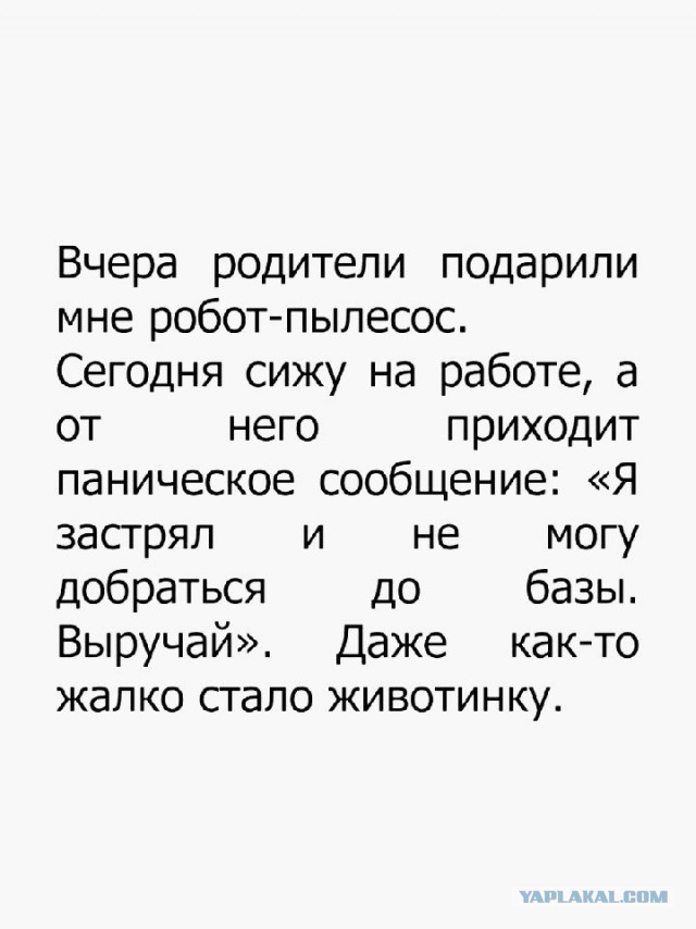 Подборка интересных и веселых картинок