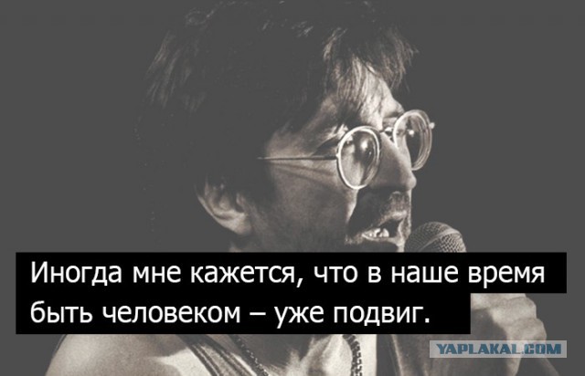Душевный Шевчук
