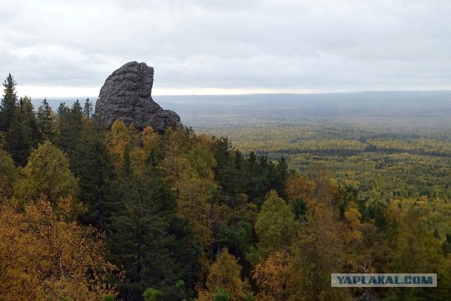Лично мне не нужен берег турецкий