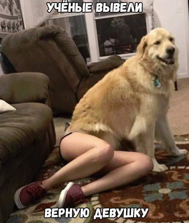 Нестандартный юмор