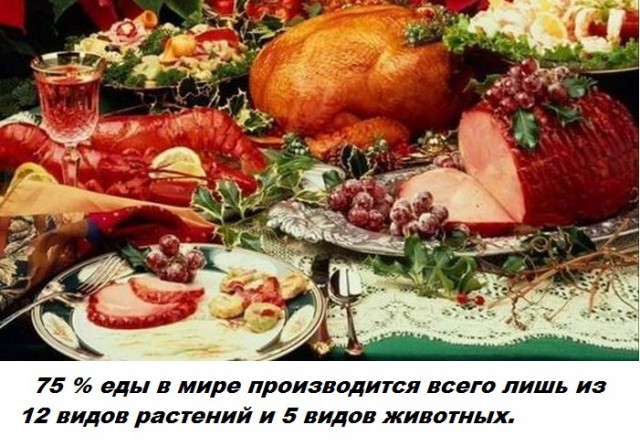 Подборка бесполезных фактов.