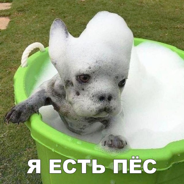 Нестандартный юмор