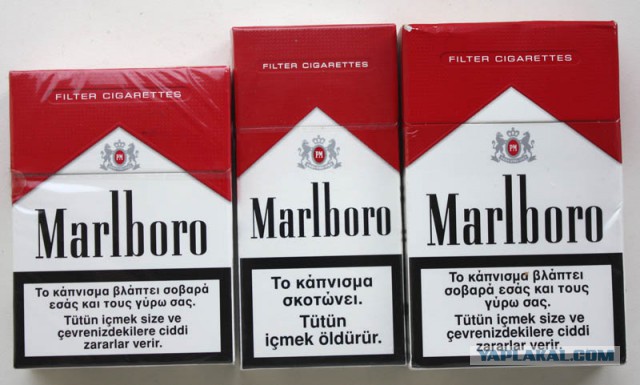 Marlboro garden zing
