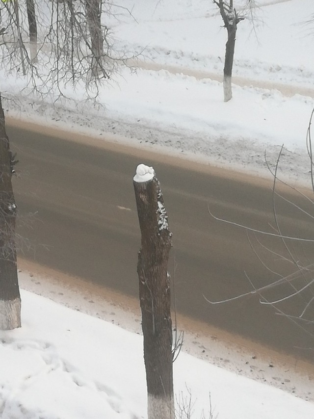 Подборка интересных и веселых картинок 24.01.19