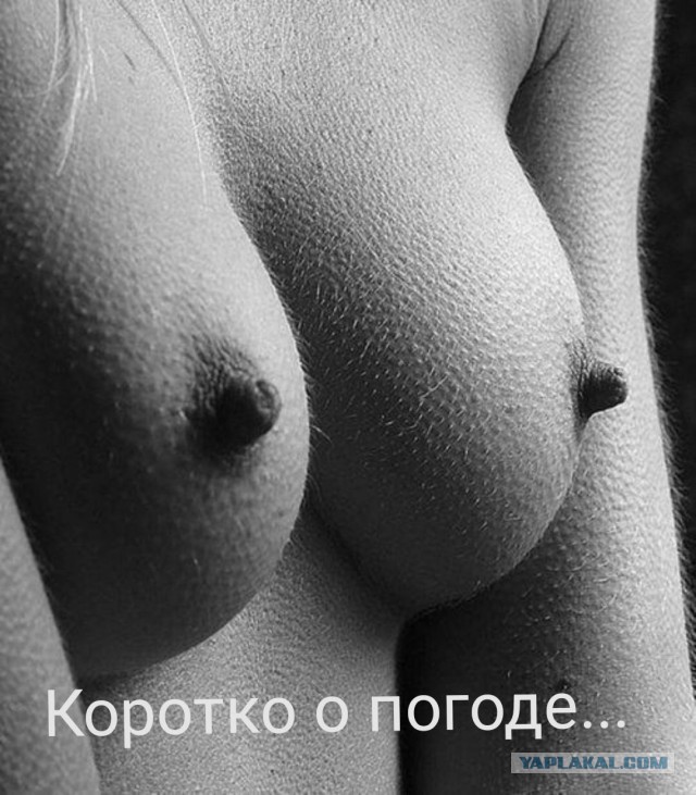 Немного картинок в эту субботу