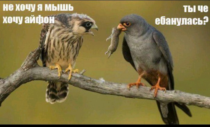 Немного картинок для настроения