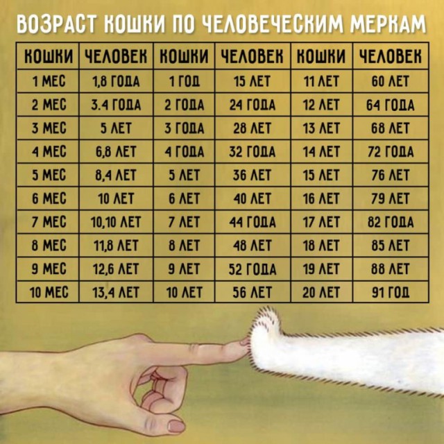 Мне 21 год