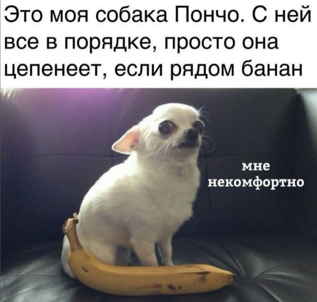 Бредзона 12.01.20