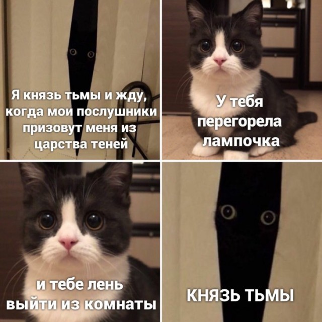 Немного картинок для настроения 27.01.20