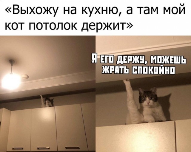 Немного картинок для настроения 19.02.20