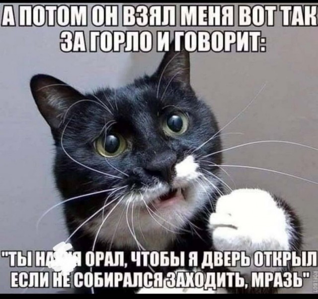 Подборка баянов