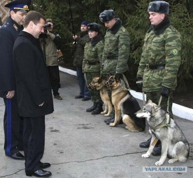 Фотожаба: Новый президент России