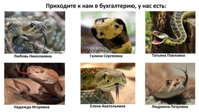 Так себе картинки 07.07.20