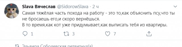Бредзона