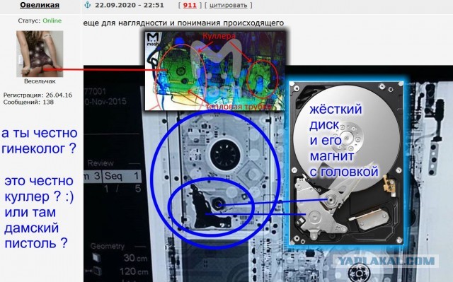 Навальный попал в бутылку