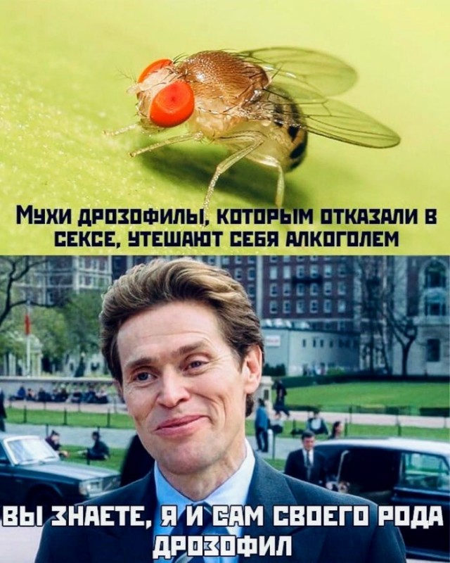 Немного картинок для настроения 12.10.20