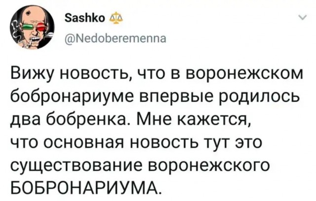 Бредзона 03.11.2020