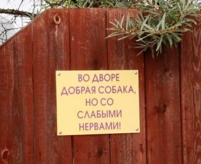 Картинки с надписями и всякие жизненные фразы 12.1.21