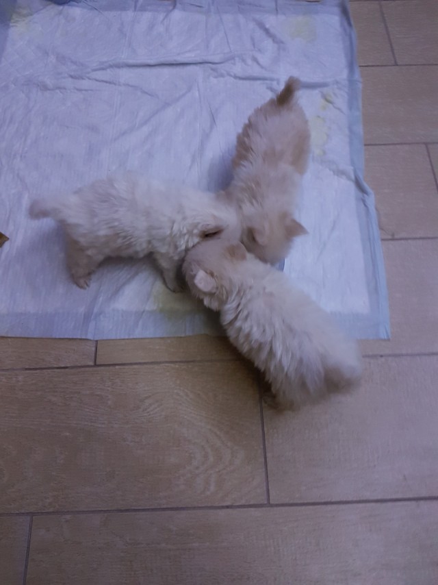 Удачный кадр. Фотопост