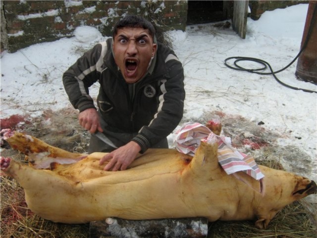 Фотожаба: AAAAAA!