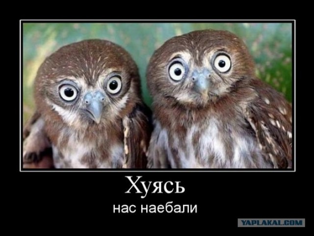 13 ноября 2012г. 22.12 по МСК КОНЕЦ СВЕТА
