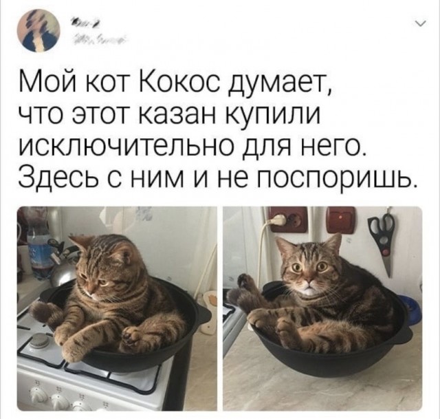 Так себе картинки 05.10.21