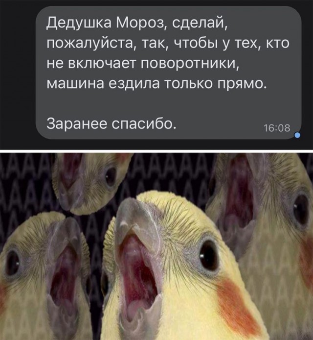 Весёлый полтишок 19.12