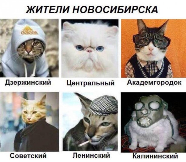 Москвичи в ассортименте