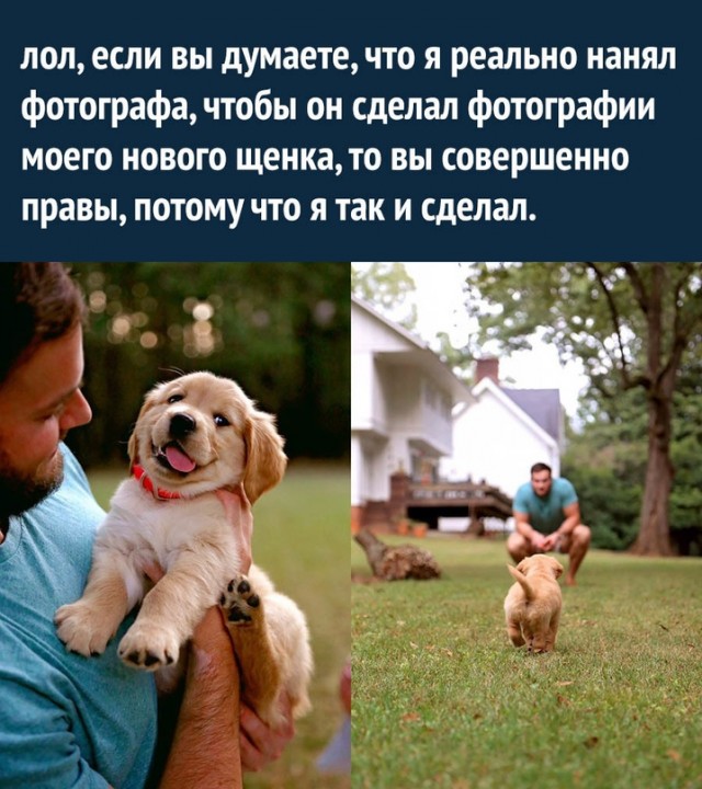 Картинки и мемы для настроения  - 31