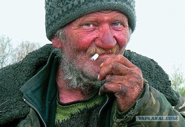 Дворцы Ангелы Меркель