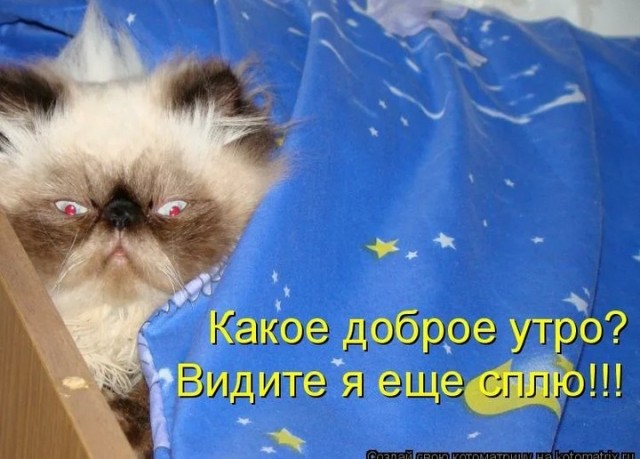 Почему женщины против ДНК тестов на отцовство?