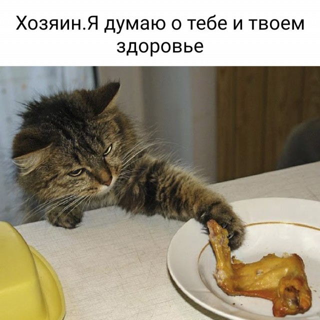 Прикольные и просто красивые картинки 14.03.2022