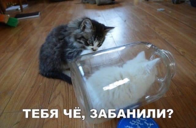 А что, уже вторник?