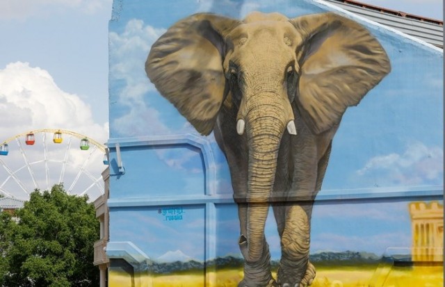 В Ставрополе закрасили изображение слона на стадионе