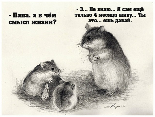 Веселые рисунки