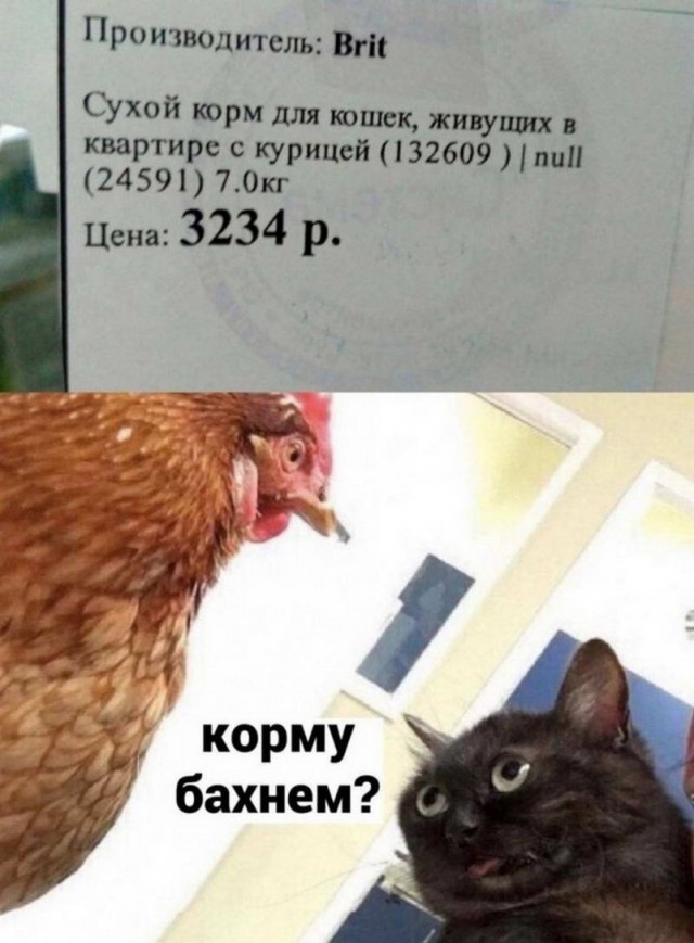 Картинки и мемы для настроения - 03