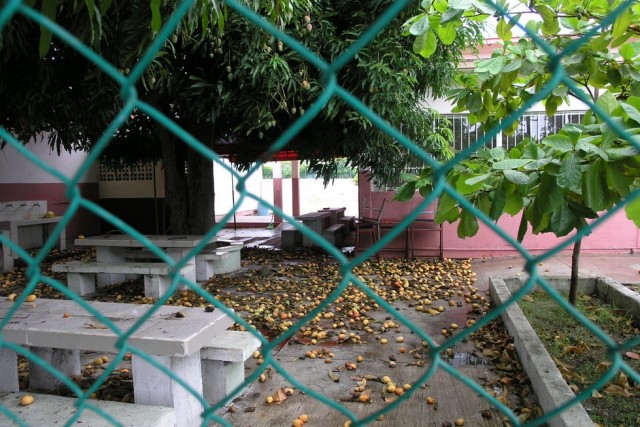 Поездка в Мексику (за деньги)