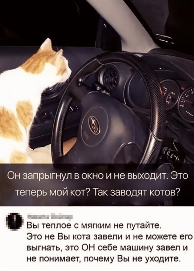 Скриншоты и комментарии из социальных сетей 02.12.22
