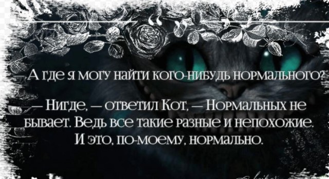 Победная поступь идиотизма по планете – том 3
