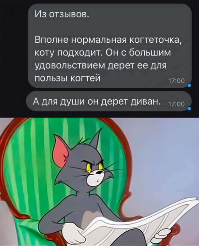 Картинки и мемы, всем хороших выходных