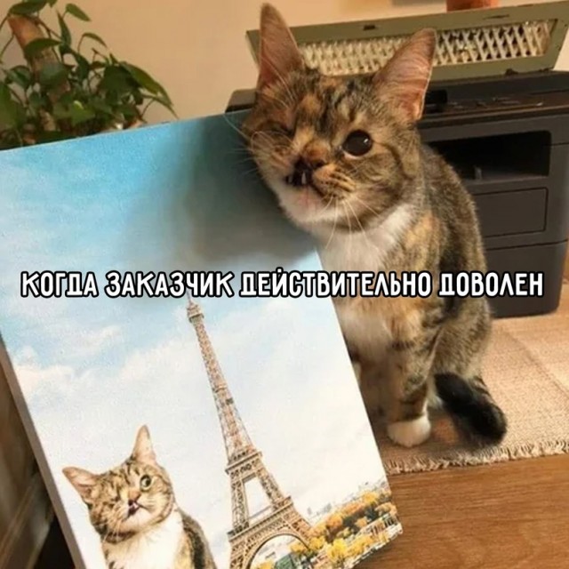 Немного картинок для настроения