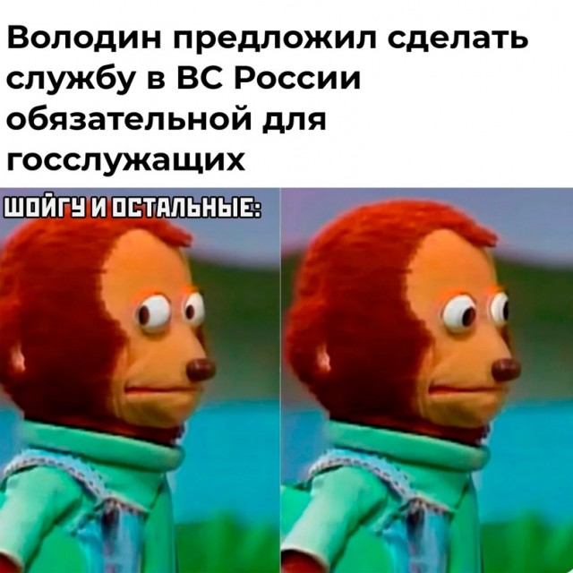 Весёлый полтишок 19.01.23