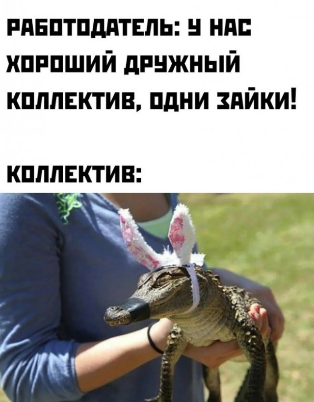 Картинки и мемы, всем хороших выходных