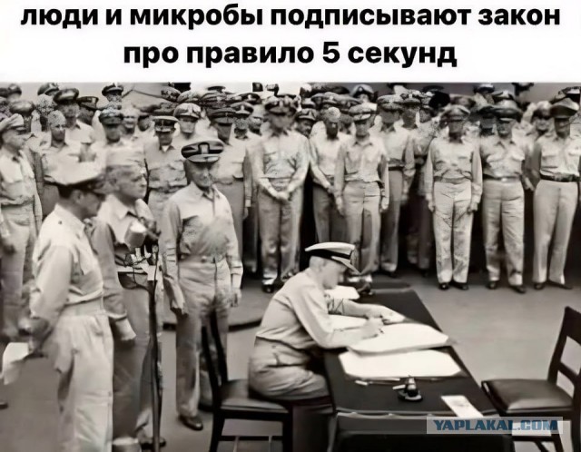 Никогда не покупайте фастфуд там, где работают нигеры