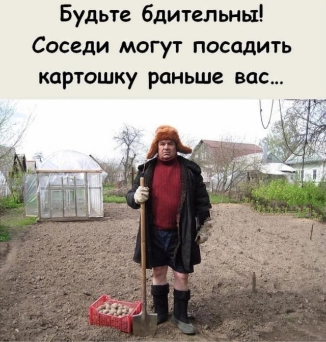 Картинки и мемы, всяко - 169