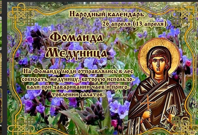 Победная поступь идиотизма по планете – том 12