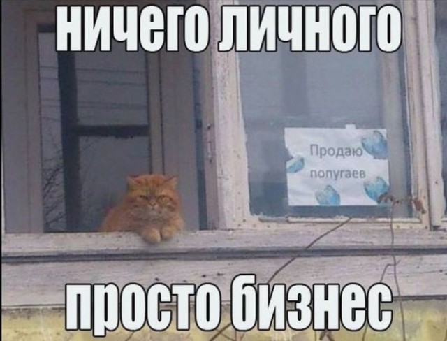 Всего понемногу. От 14.01
