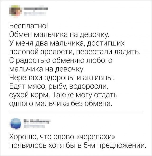 Всего понемногу. От 27.02.24