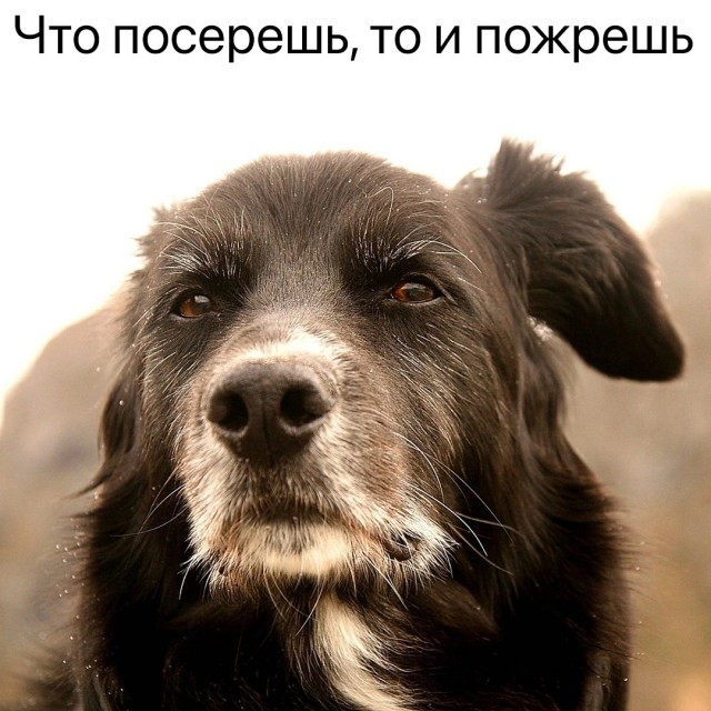 Всех с понедельником