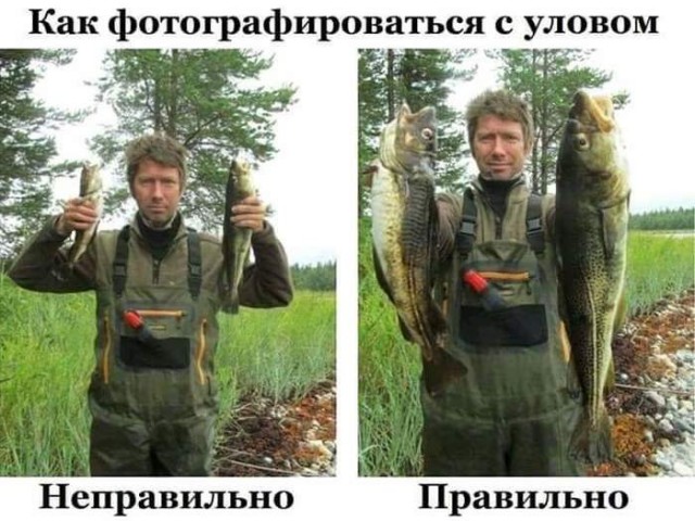Показываем рыбов